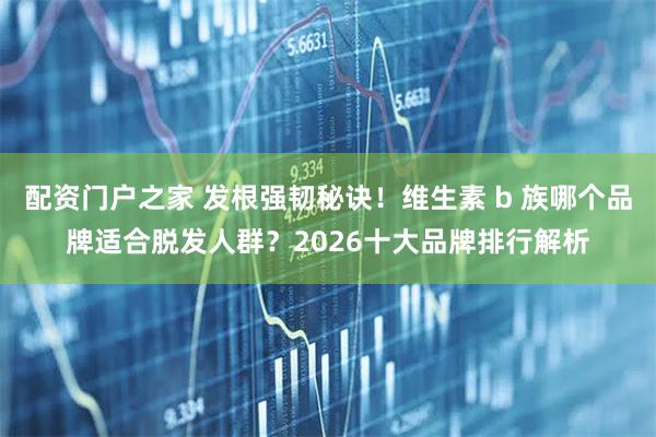 配资门户之家 发根强韧秘诀!维生素 b 族哪个品牌适合脱发人群?2026十大品牌排行解析